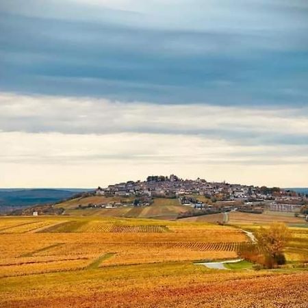 Gite Entre Vignes Et Loire Thauvenay Exterior photo
